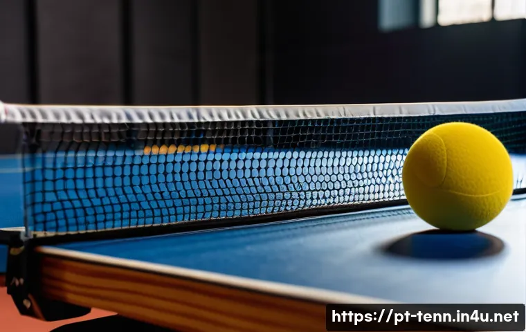 탁구 라켓 무게와 성능 비교 관련 이미지 1